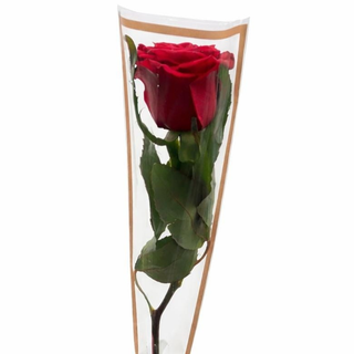 Rose Élégance – Spécial Journée de la Femme