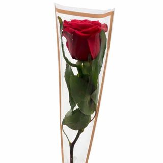 Rose Élégance – Spécial Journée de la Femme