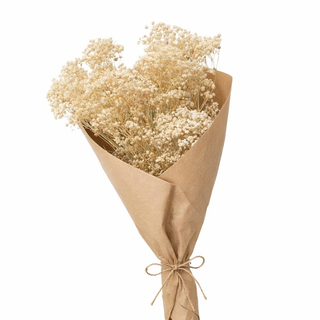 Bouquet Séché Ivory Dream