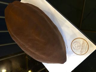 Trompe l'oeil familiale (cacao)