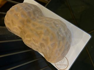 Trompe l'oeil familiale (cacahuète)