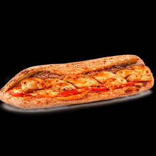Panini classic