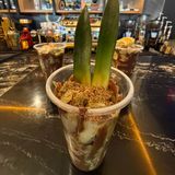 Dubaï ananas cup
