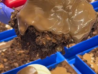 El fazaa الفزعة