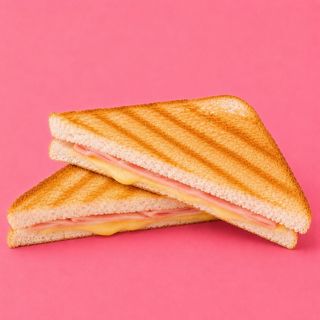 Toasty Dinde Fumée