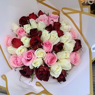 Blush Roses