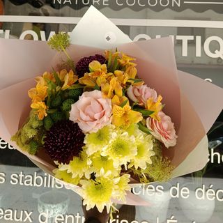 spring bloom