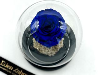 Royal Blue Eternel Rose