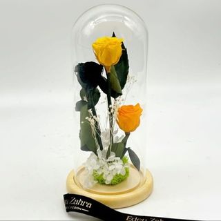 Cloche Orange Shades