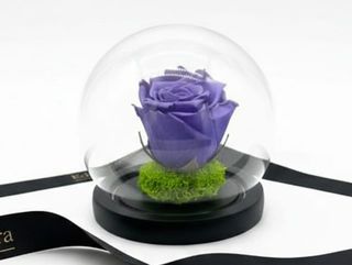 Lavender Globe