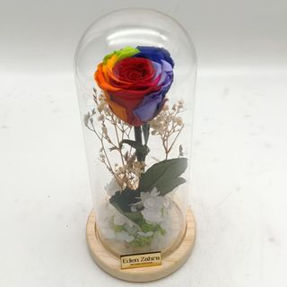 Eternity Rainbow Red