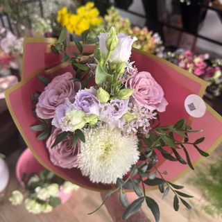 Soft lilac