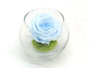 Mini Reflet Baby Blue R