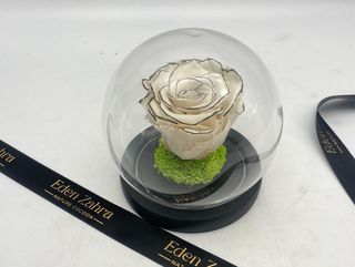 Cloche Eternal Black Lines