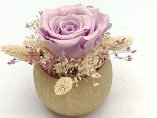 D’or et de Lavande