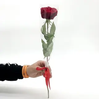 Only you