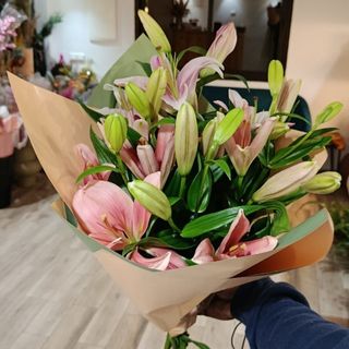 5 Pink Lys