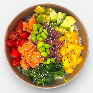 Ocean Duo Poké - NEW