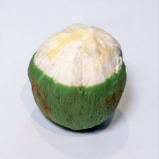 Coconut Mango