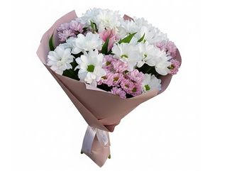 Douceur de Chrysanthèmes Blancs et Roses.