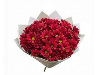Grand Bouquet de Chrysanthèmes Rouge Royal