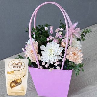 SAC  de ROSES