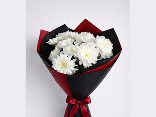 Élégance des chrysanthèmes blancs en noir et rouge