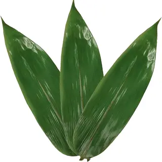 Feuille de Bambou pour présentation sur plateau