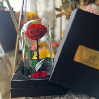 Rose Éternelle - La Beauté Capturée