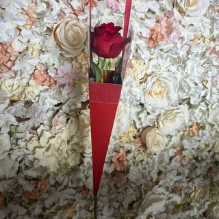 fleur spécial Noël