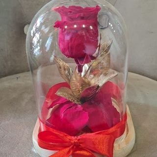 Eternel rouge dorée