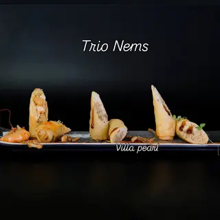 Trio Nems Mix (3 pieces)