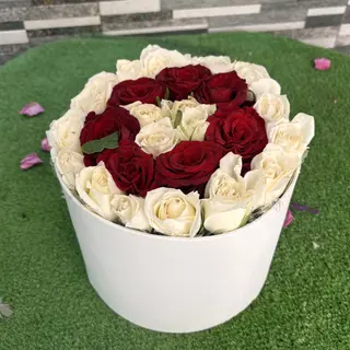 Petite box Basic