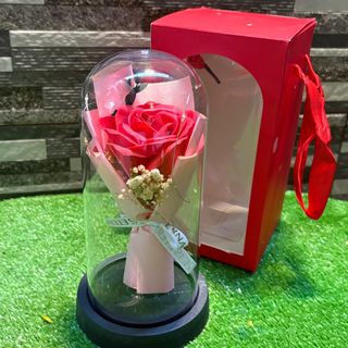 Rose sous cloche