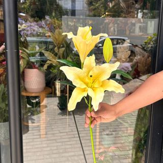 Tige Artificiel Lys jaune