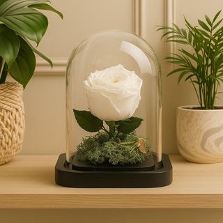 Rose éternelle Garden 15cm*10cm