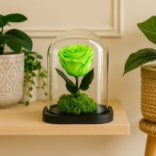 Rose Éternelle Vert Lime 15cm x 10cm