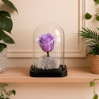 Rose Éternelle Violette 15×10 cm