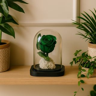 cette Rose Éternelle Vert Royal 15cm×10 cm