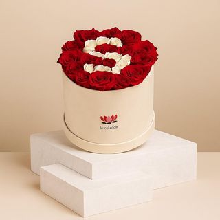 Composition Lettre en Roses – Déclaration en Rouge et Blanc