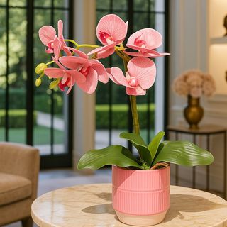 Orchidée Pastel Élégante