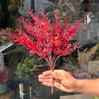 Branchage décoratif rouge corail