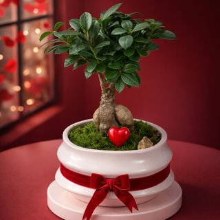 Bonsaï “Serment du Cœur”