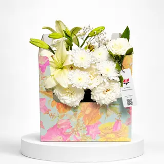The White Composition Box