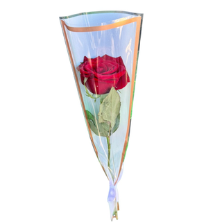 Une seule rose rouge f47