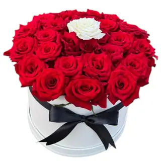 Box rose rouge f42