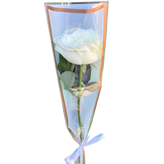 Une seule rose blanche f48