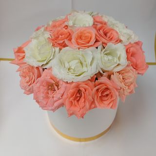 Box Roses blanc