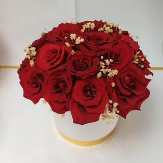 Box Red one 