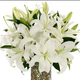 Bouquet des lys oriental